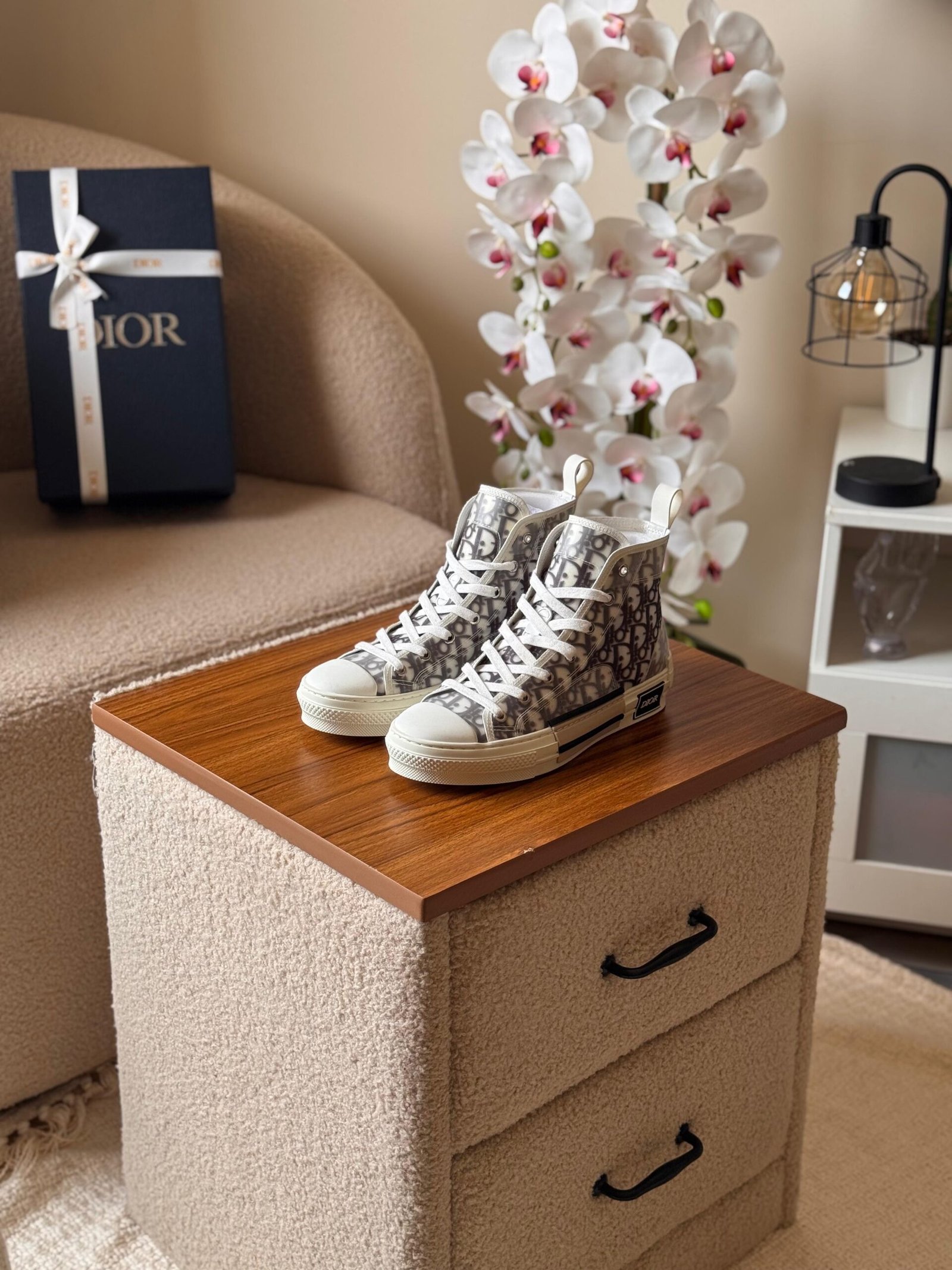 Dior B23 High-Top Sneaker