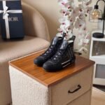 Dior B23 High-Top Sneaker - Full Black