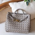 Bottega Veneta 25 bag - Ecru Andiamo