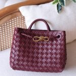 Bottega Veneta 25 bag - Maroon