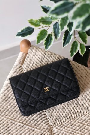 Chanel Wallet on Chain 19cm