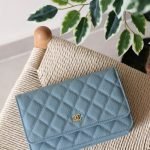 Chanel Wallet on Chain 19cm - Light Blue