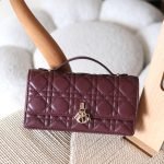 Dior my dior mini 21cm bag - Maroon