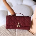 Dior my dior mini 21cm bag - Wine