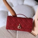 Dior my dior mini 21cm bag - Shining Red