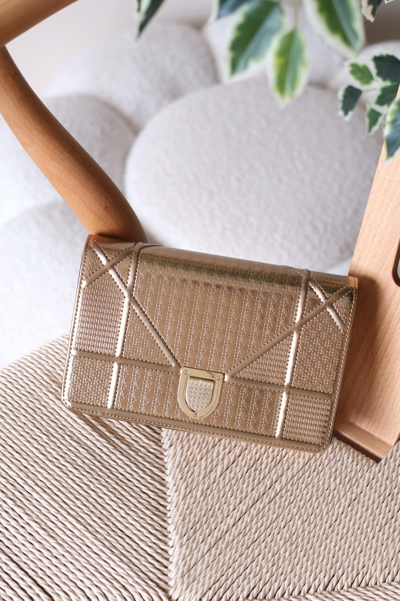 Dior Diorama 19cm bag - Image 4