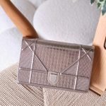 Dior Diorama 19cm bag - Metallic Silver