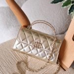Chanel 19cm Clutch bag - Rose Gold
