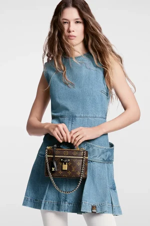 Louis Vuitton Vanity Chain Pouch